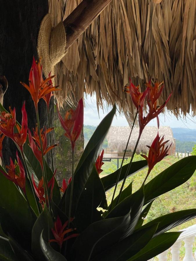 La Manola Finca Hotel Doradal Luaran gambar